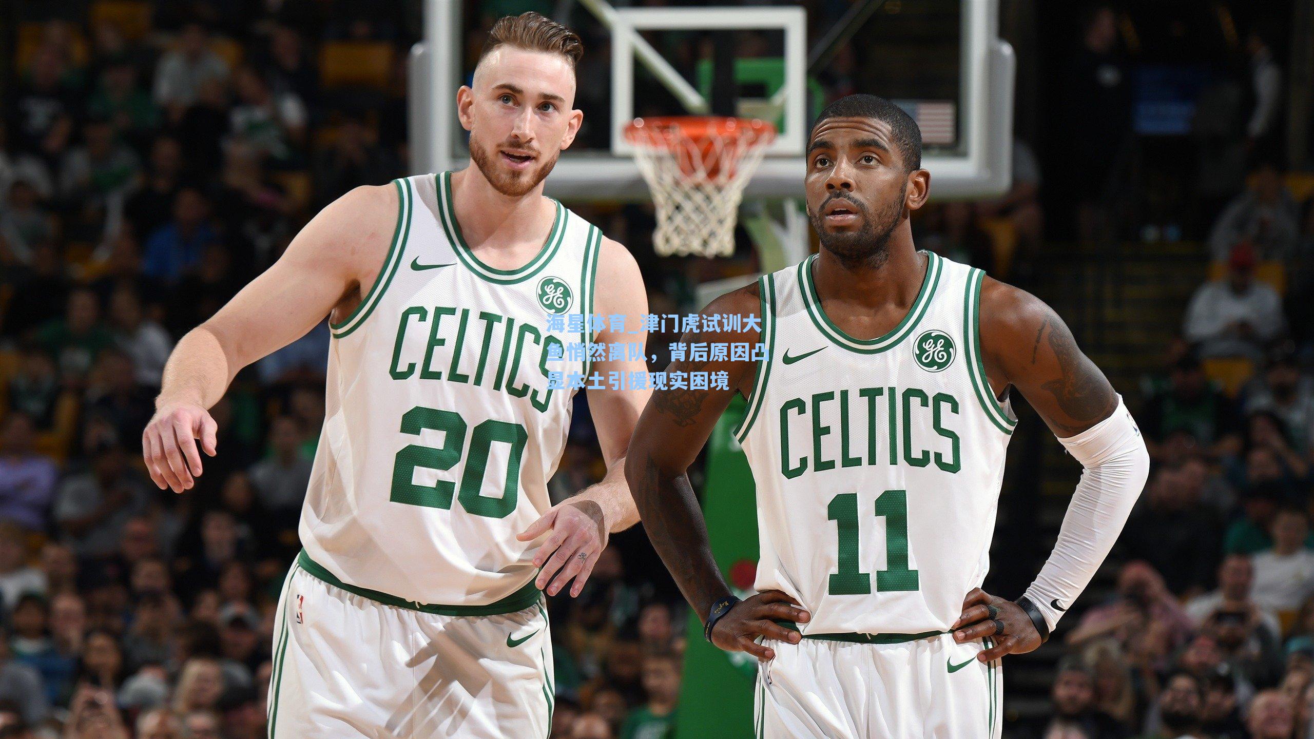 津门虎试训大鱼悄然离队,背后原因凸显本土引援现实困境